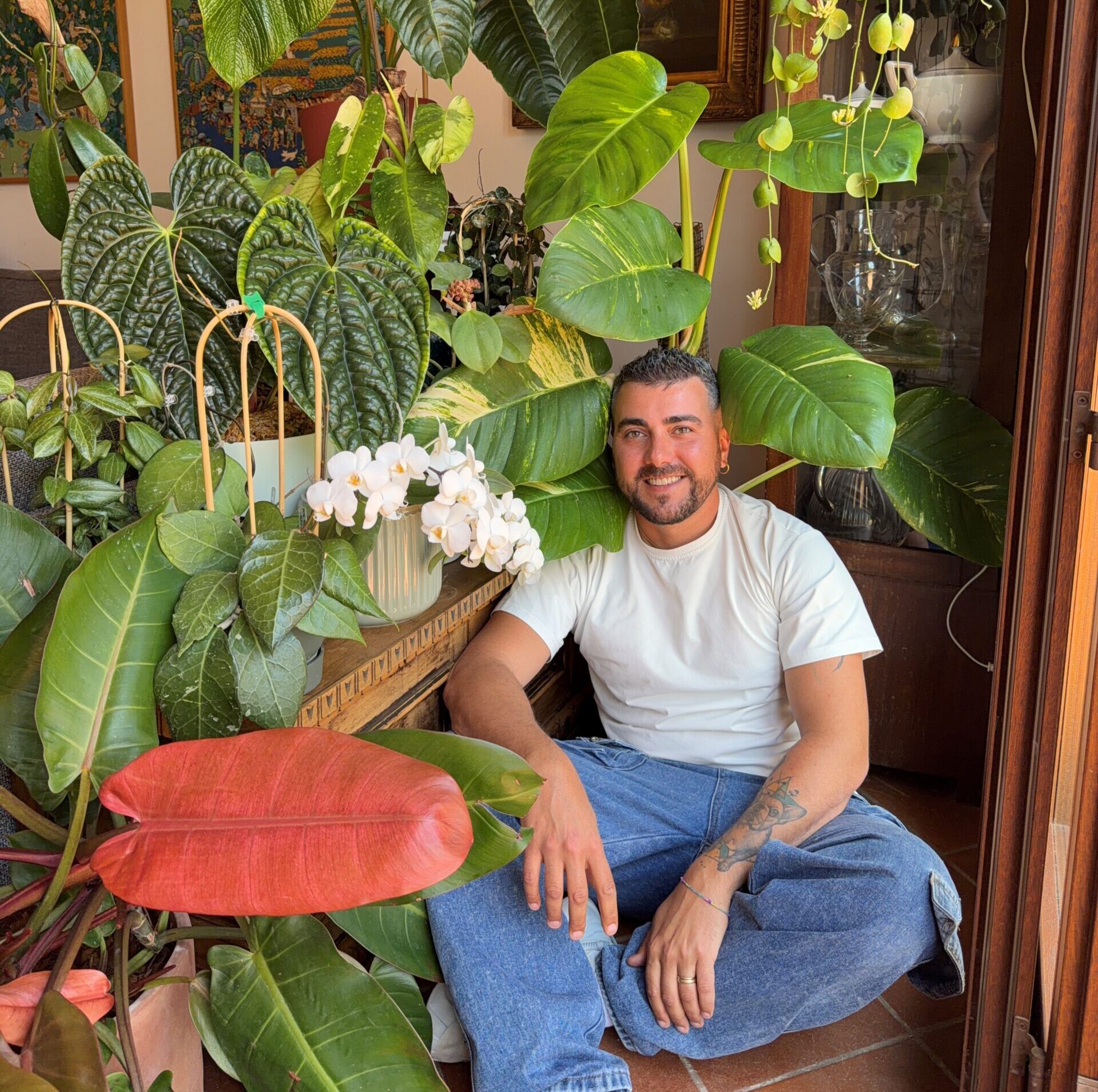 MARCO IPPOLITO
